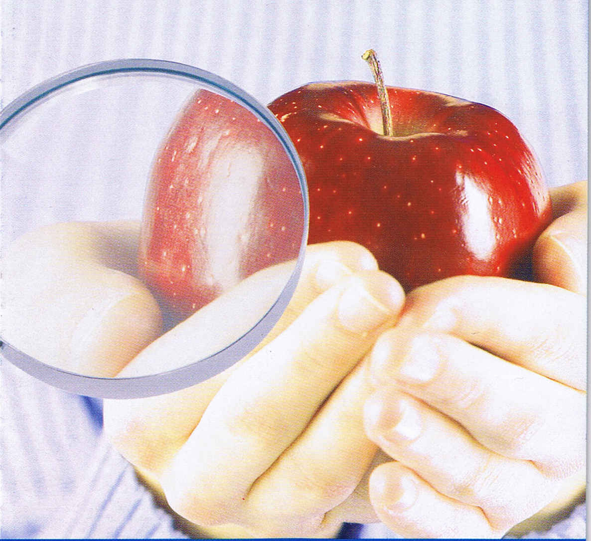 manzana.jpg